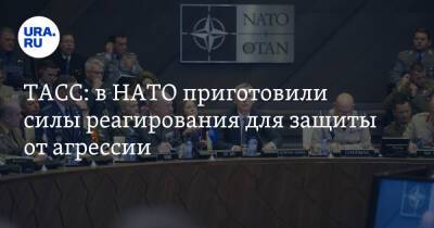 ТАСС: в НАТО приготовили силы реагирования для защиты от агрессии