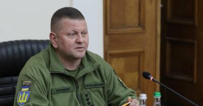 Главнокомандующий ВСУ: Российские колонны могут идти под украинским флагом