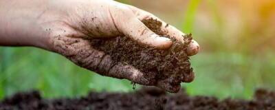 Учёные Пермского Политеха нашли эффективный способ очистки почвы от загрязнений