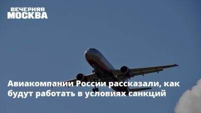 Авиакомпании России рассказали, как будут работать в условиях санкций