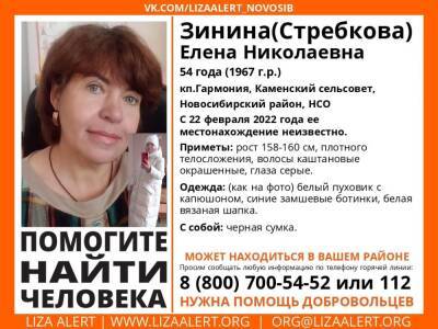 В Новосибирске неделю ищут пропавшую жительницу коттеджного посёлка Гармония