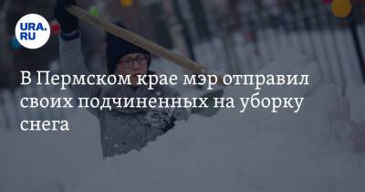 В Пермском крае мэр отправил своих подчиненных на уборку снега. Фото
