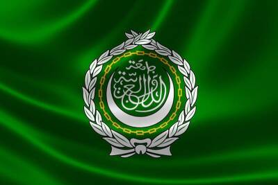 Лига арабских государств призывает к «дипломатическому решению» в Украине и мира