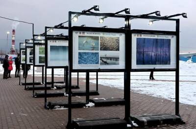 В Пущино закончили прием работ на Х Конкурс научной фотографии «Стихии науки» - runews24.ru - Москва - Россия - Украина - Казахстан - Пущино