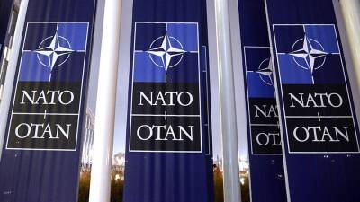 Парламент Финляндии обсудит петицию о вступлении страны в НАТО