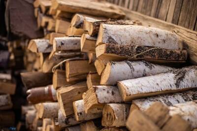 Забайкалка пожаловалась на неподъёмную цену на дрова для жителей Ононского района