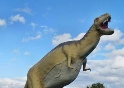 Пол - Диана Джанабилова - Ученые: Тираннозавр рекс может оказаться тремя разными видами динозавров - actualnews.org