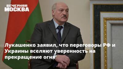 Лукашенко заявил, что переговоры РФ и Украины вселяют уверенность на прекращение огня