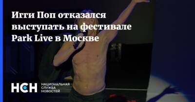 Игги Поп отказался выступать на фестивале Park Live в Москве - nsn.fm - Москва - Англия