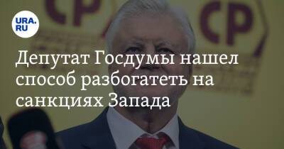Депутат Госдумы нашел способ разбогатеть на санкциях Запада