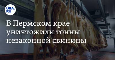 В Пермском крае уничтожили тонны незаконной свинины. Мясо везли в Екатеринбург