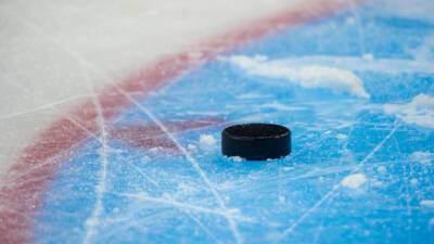 ТАСС: IIHF не рассматривала вопрос о лишении ФХР членства в федерации