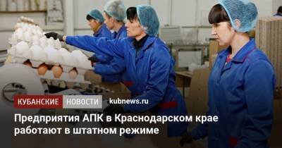 Предприятия АПК в Краснодарском крае работают в штатном режиме
