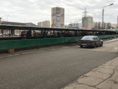 В Астрахани открылись мини-ярмарки «Зелёные ряды»