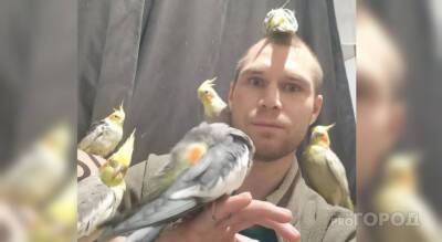 Чебоксарец завел пару попугаев и через три года стал обладателем 250 птиц