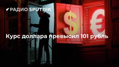 Курс доллара поднялся до 101,23 рубля, евро – до 112,49 рубля, по данным Мосбиржи