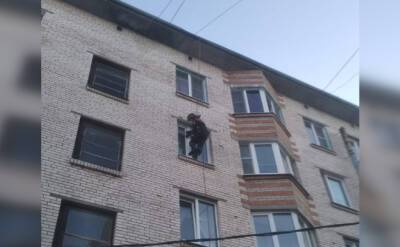 В Никольском спасатели через окно попали в квартиру с запертым там ребенком