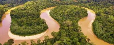 Тропические леса Амазонки находятся на грани экологической катастрофы