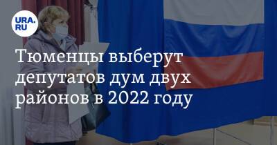 Тюменцы выберут депутатов дум двух районов в 2022 году