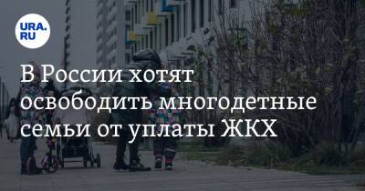 В России хотят освободить многодетные семьи от уплаты ЖКХ