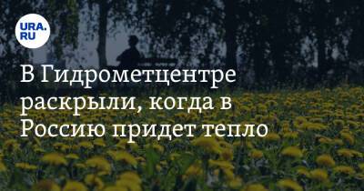 В Гидрометцентре раскрыли, когда в Россию придет тепло