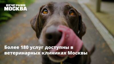 Более 180 услуг доступны в ветеринарных клиниках Москвы