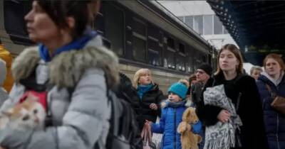 В Польше приняли закон об украинских беженцах: что нужно знать