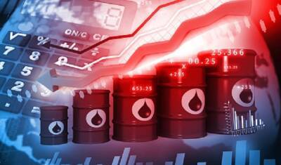 В Минэнерго Турции предупредили об ужасном воздействии антироссийских санкций на мировой рынок нефти