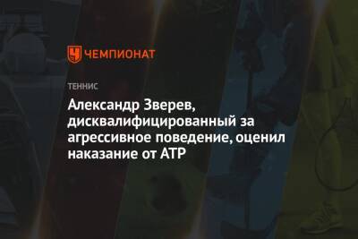 Александр Зверев, дисквалифицированный за агрессивное поведение, оценил наказание от ATP