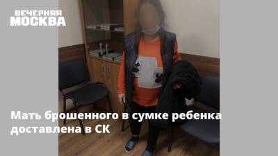 Мать брошенного в сумке ребенка доставлена в СК - vm.ru - Москва - Санкт-Петербург - Следственный Комитет