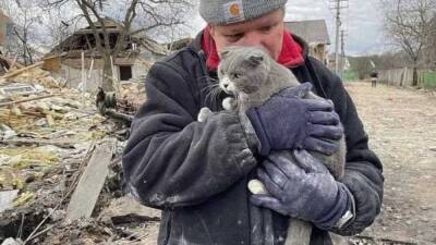 Остался только кот: мужчина потерял всю семью после бомбежки под Киевом