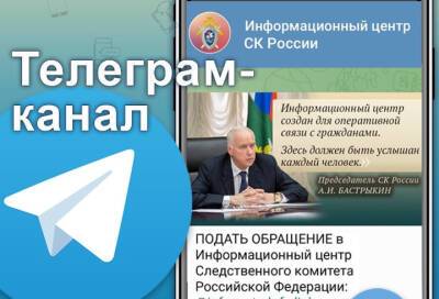 Жители Ленобласти теперь могут обратиться в Следственный комитет через telegram-канал