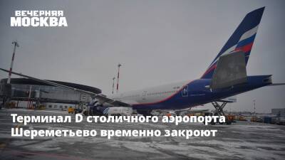 Терминал D столичного аэропорта Шереметьево временно закроют