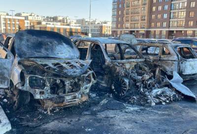 На платной парковке в Новоселье сгорели автомобили