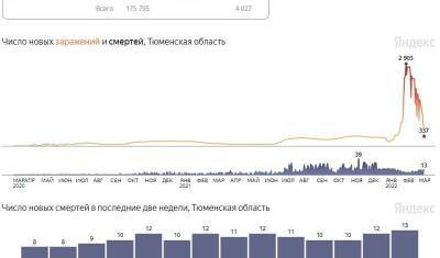 В Тюменской области наблюдается спад заболеваемости COVID-19