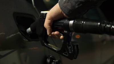 Цены на бензин в Ленобласти останутся прежними