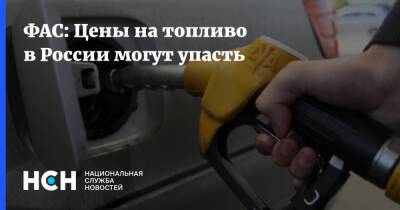 ФАС: Цены на топливо в России могут упасть