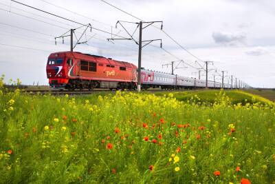 Этим летом школьники смогут путешествовать на поезде со скидкой 50% - astrakhanfm.ru - Россия