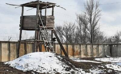 Об обнаружении подобия концлагеря около Ростовской области сообщили в ЛНР