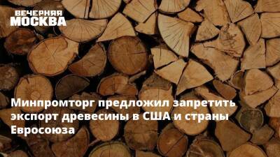 Минпромторг предложил запретить экспорт древесины в США и страны Евросоюза