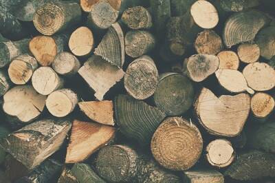 В Минпромторге намерены ограничить экспорт древесины в ряд стран
