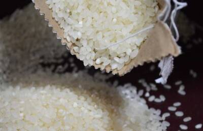 Диетолог Соломатина рассказала о вредных свойствах белого риса