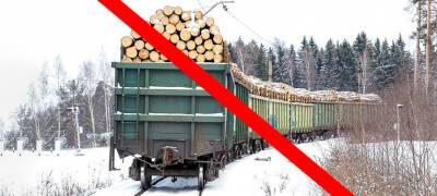 Минпромторг России предложил запретить экспорт древесины в США и ЕС