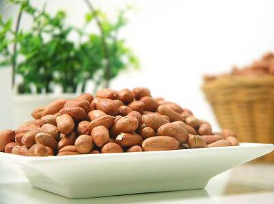 Эндокринолог рассказала, почему орехи и крупы нужно обязательно замачивать перед едой