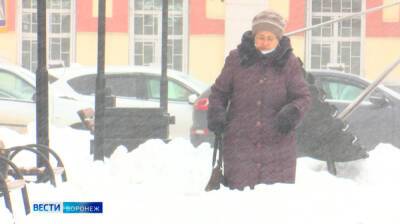 Антициклон с Карского моря принесёт 20-градусные морозы в Воронежскую область