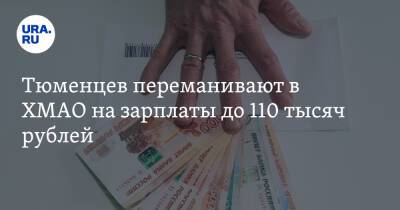 Тюменцев переманивают в ХМАО на зарплаты до 110 тысяч рублей