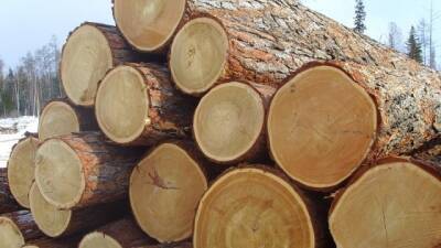 Компанії відмовляються від російської деревини