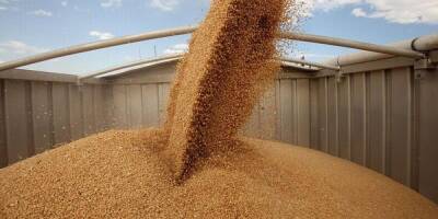 СМИ: Россия готовится запретить экспорт зерна в страны ЕАЭС
