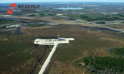Московская компания приобрела участок недр на Ямале