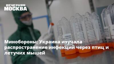 Минобороны: Украина изучала распространение инфекций через птиц и летучих мышей